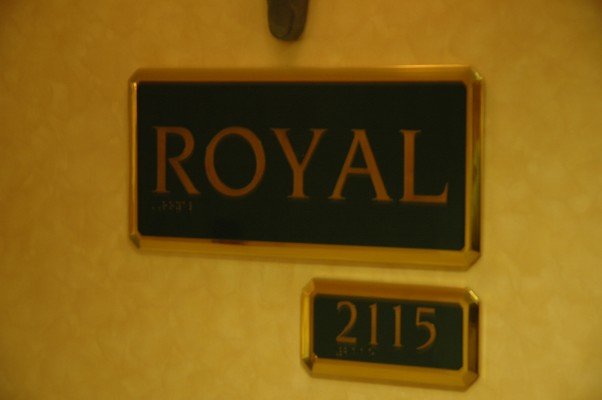 DSC 0081
