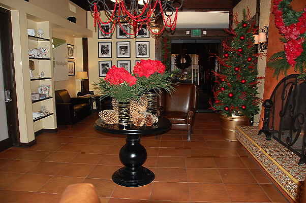 DSC 0012
