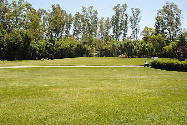 DSC 0265