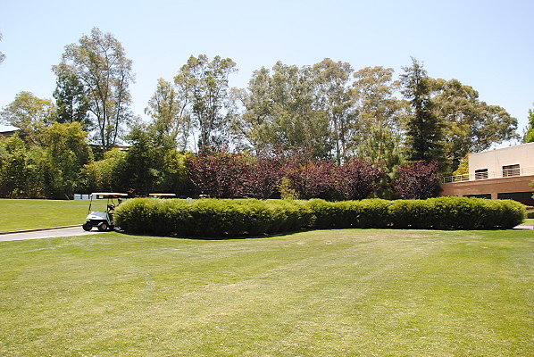 DSC 0258