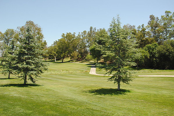 DSC 0263