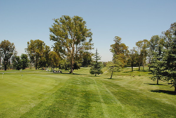DSC 0262