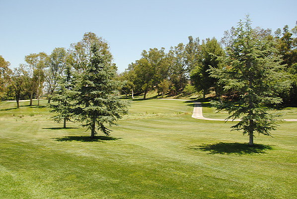 DSC 0264