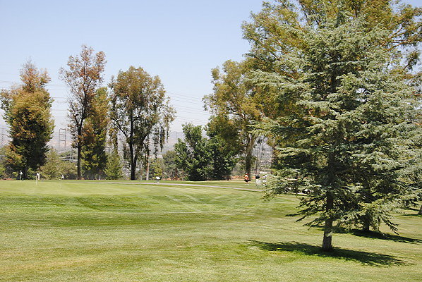 DSC 0257