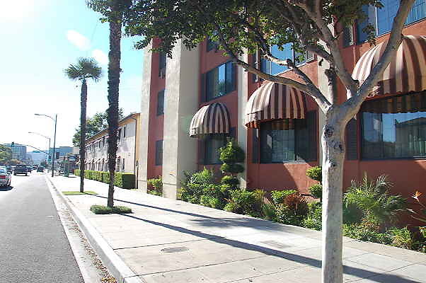 DSC 0101
