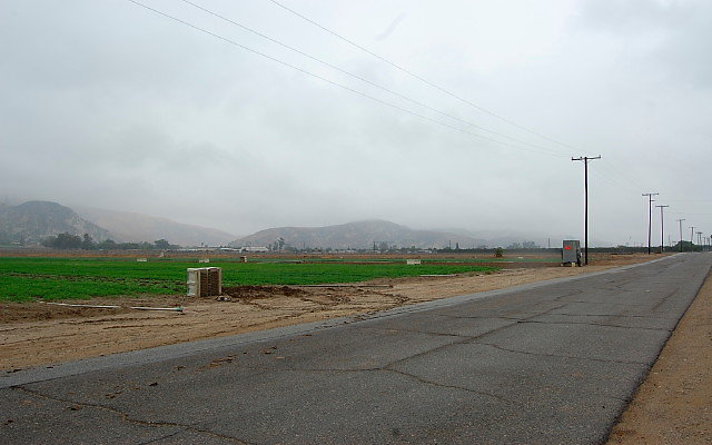 DSC 0040