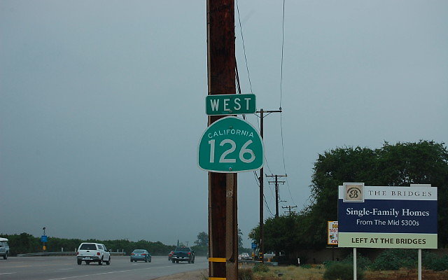 DSC 0045