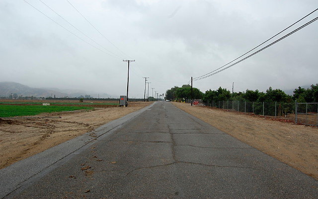 DSC 0042