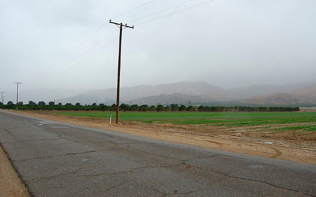 DSC 0038