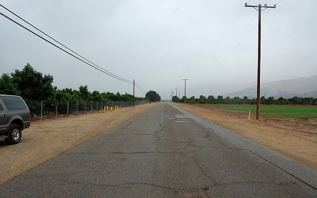 DSC 0041