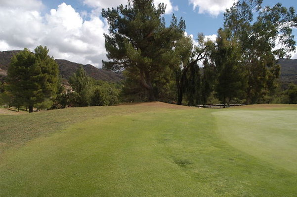 Malibu CC 1 Green.04