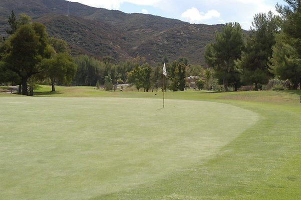 Malibu CC 1 Green.08