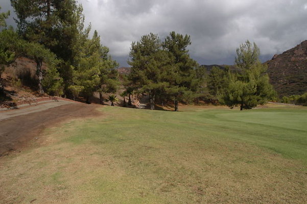 Malibu CC 1 Green.01