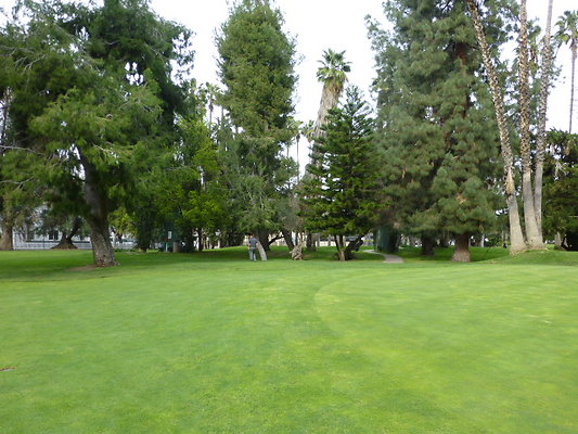 P1080010