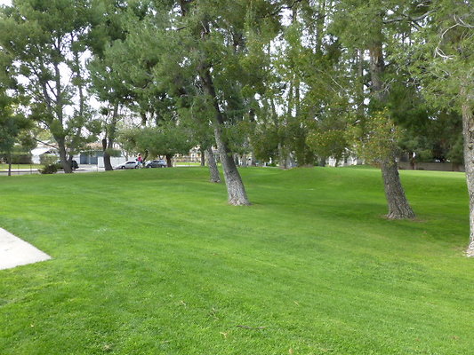 P1050983