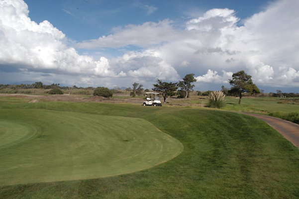 Olivas GC Green.12