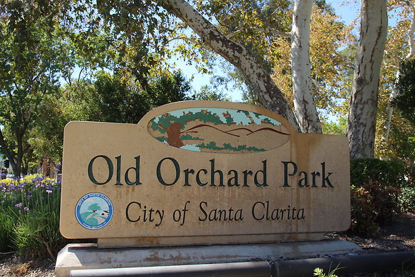 z-OLD ORCHARD Park-069