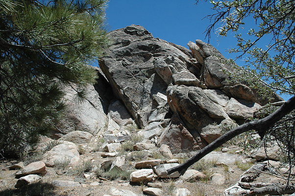 DSC 0208