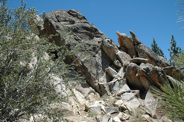 DSC 0206