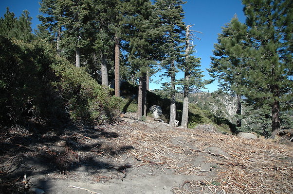 DSC 0082