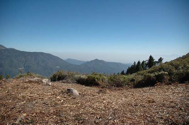DSC 0091