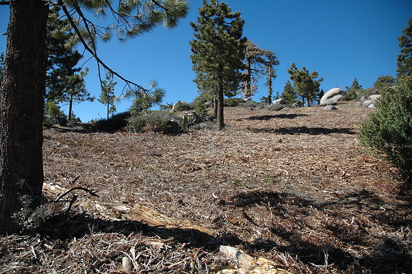 DSC 0085