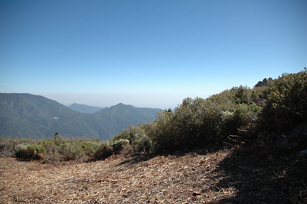 DSC 0097