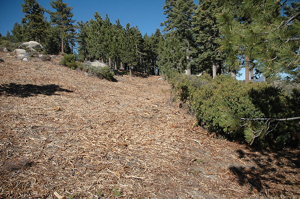 DSC 0102