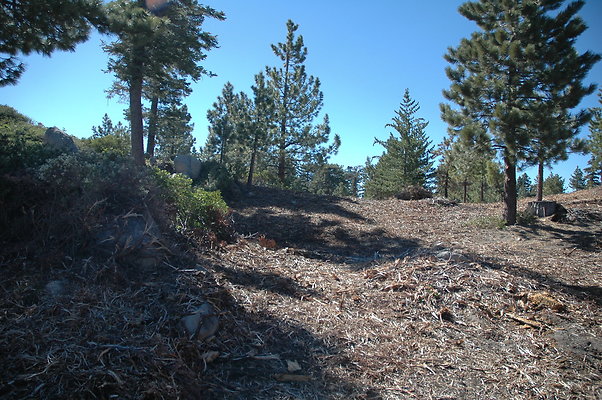 DSC 0100