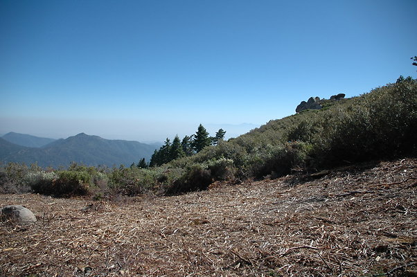DSC 0090