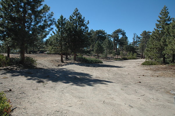 DSC 0079