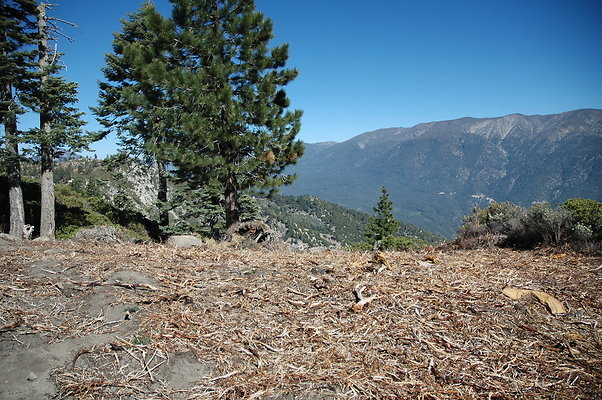 DSC 0081