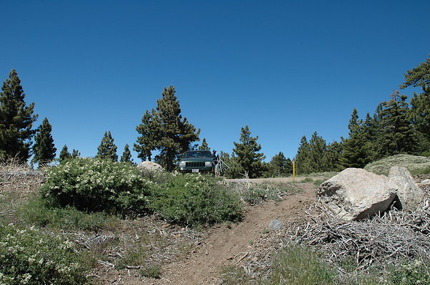 DSC 0022