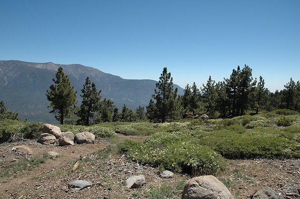 DSC 0027
