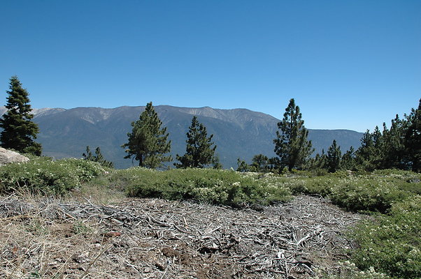 DSC 0016