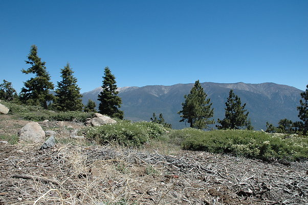 DSC 0015