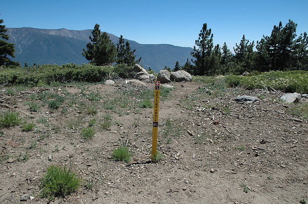 DSC 0008