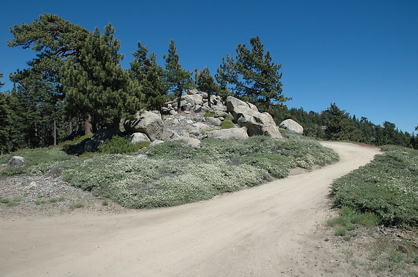 DSC 0031