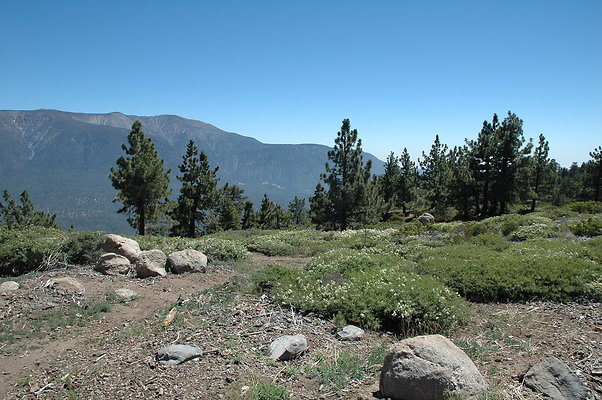 DSC 0023
