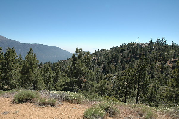 DSC 0042