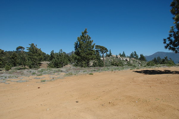 DSC 0068