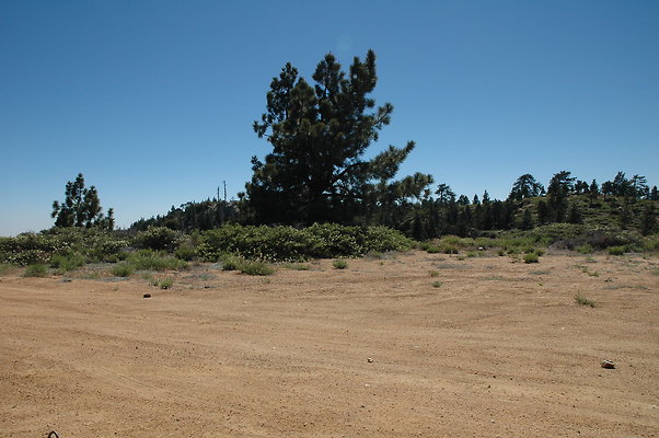 DSC 0075