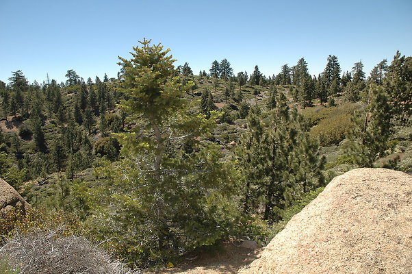 DSC 0056