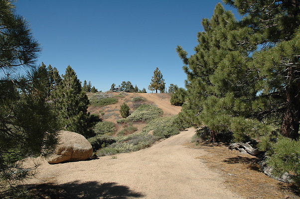 DSC 0053