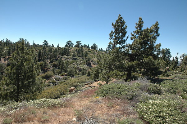 DSC 0044