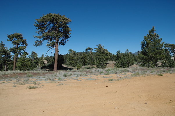 DSC 0069