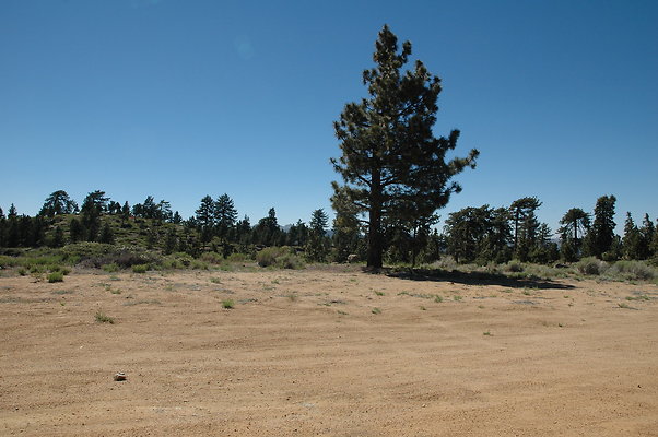 DSC 0073