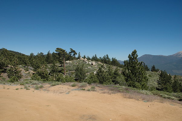 DSC 0037