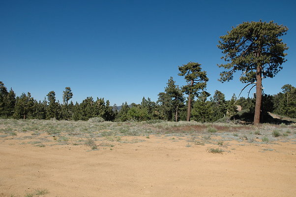 DSC 0070
