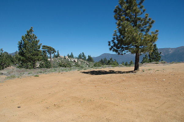 DSC 0067